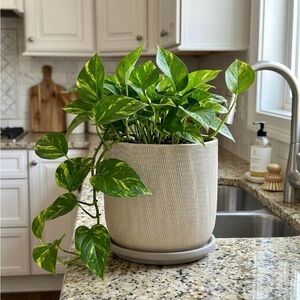 6 Inch Ceramic Barrel Planter with Attached Saucer and Drainage Hole